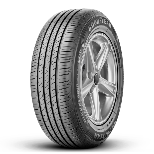 PNEU 245/40 R20 EFFCNTGRIP PERFO 99V